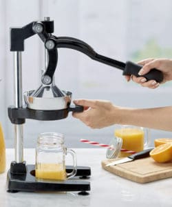 Focus Foodservice 97336 Jupiter Citrus Press