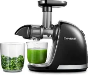 AMZCHEF Slow Masticating Juicer