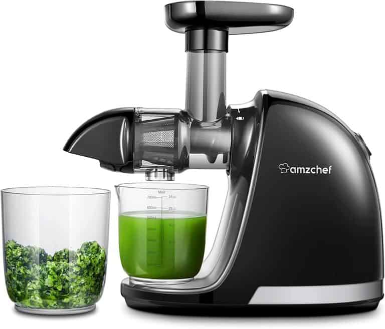 Best Cheap Chinese Knockoff Juicers Kitchen Gear Pro
