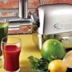 What Is The Best Masticating Juicer Brand To Buy?