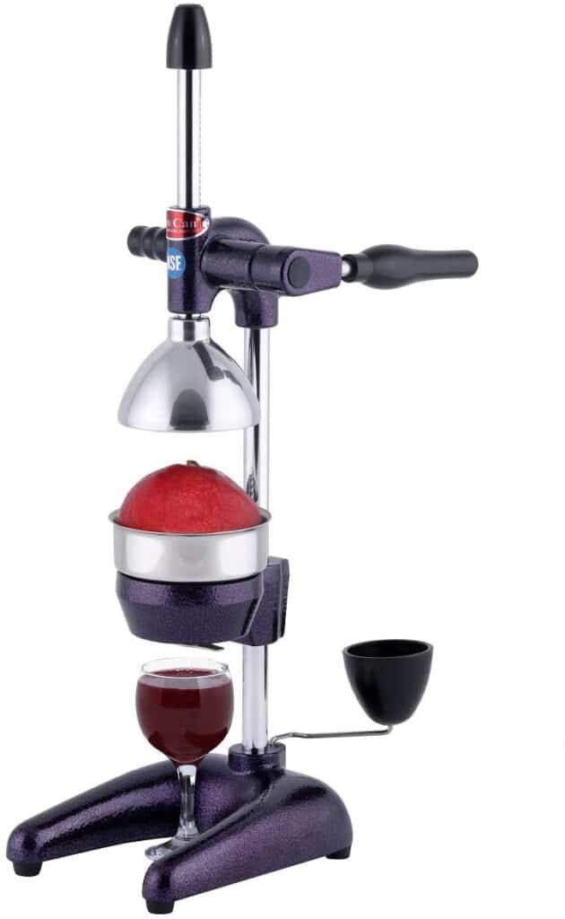 Best Juicer For Extracting Pomegranate Juice – Reviews 2023 | Kitchen ...