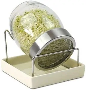 Vital Kitchen Appliances and Tools for Creative Raw Home Chef 7 sprouter