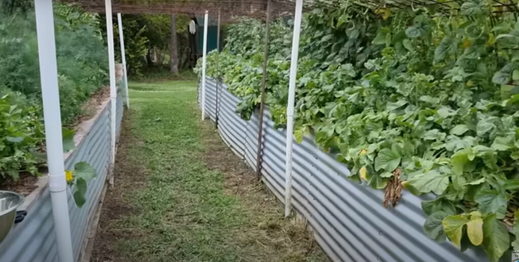 backyard greenhouse