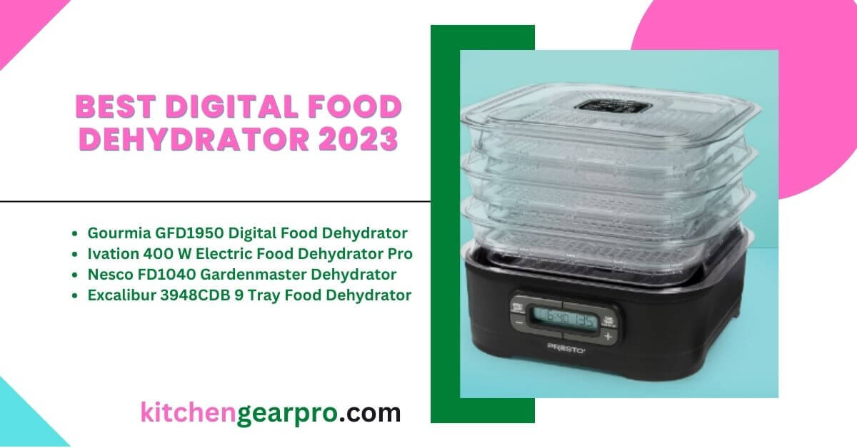 Best Digital Food Dehydrator 2023